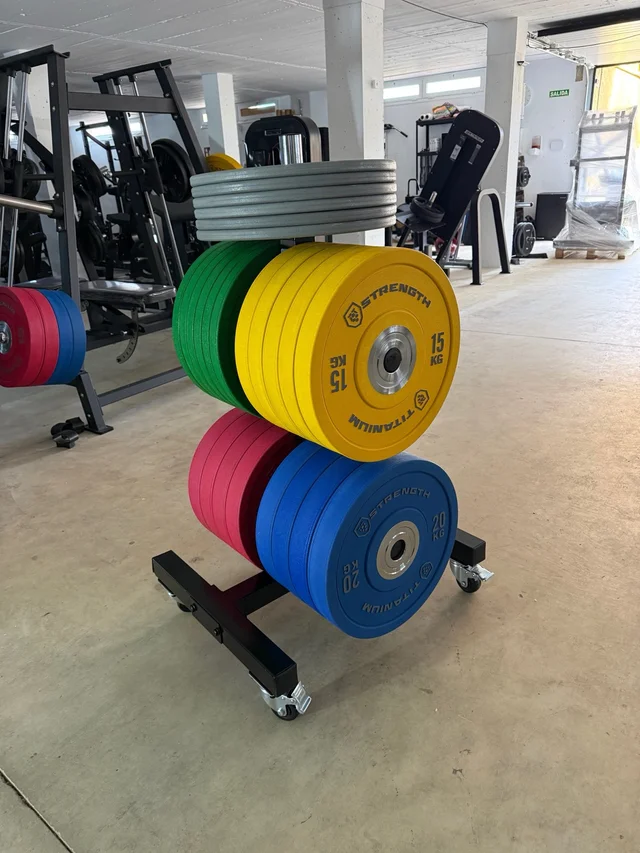 Rack Vertical para Discos Bumper VBR10