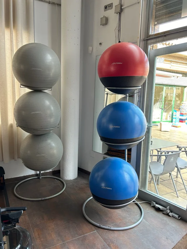Lote de Fitballs con Soporte 