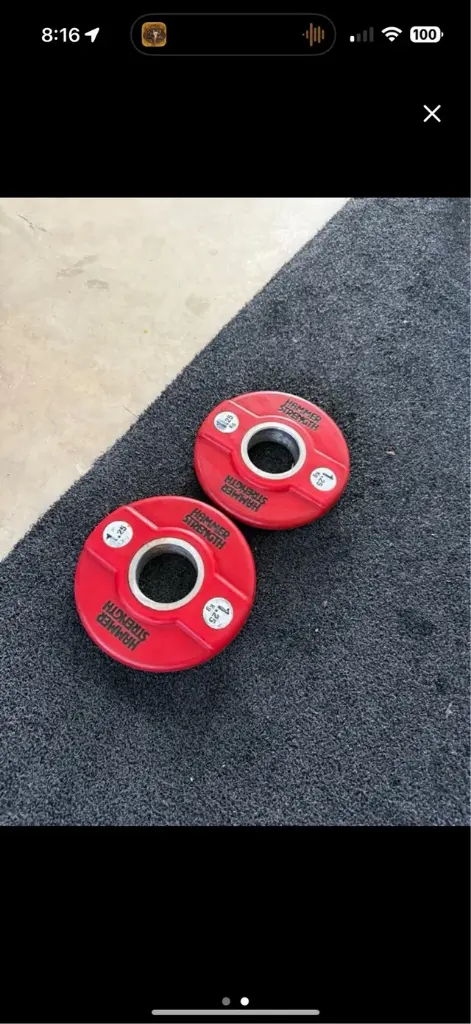 Lote Discos Ziba y Hammer Strength