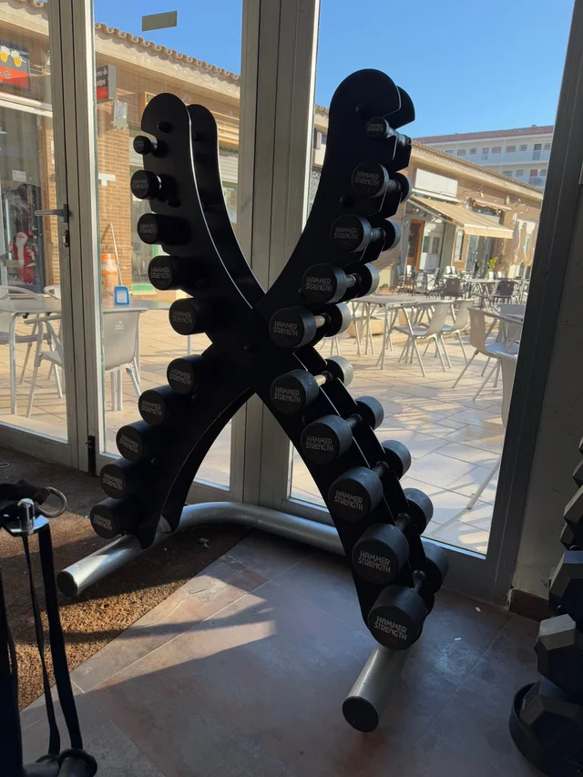 Mancuernero de 1 a 10kg Hammer Strength