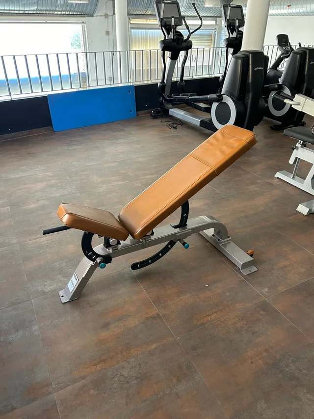 Banco reclinable Precor icarian