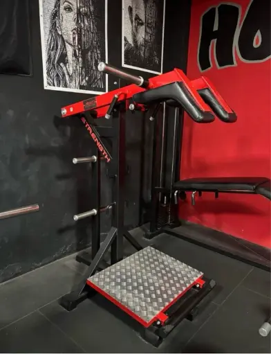 Máquina de sentadilla y gemelo