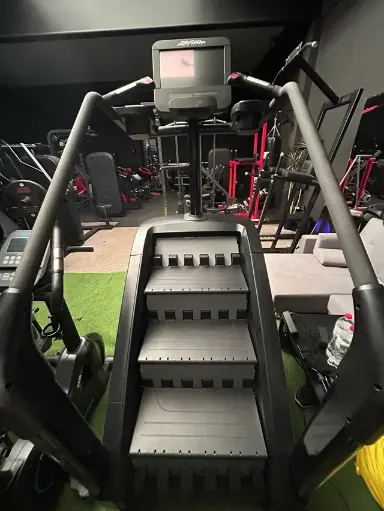 Escaladora PowerMill Life Fitness