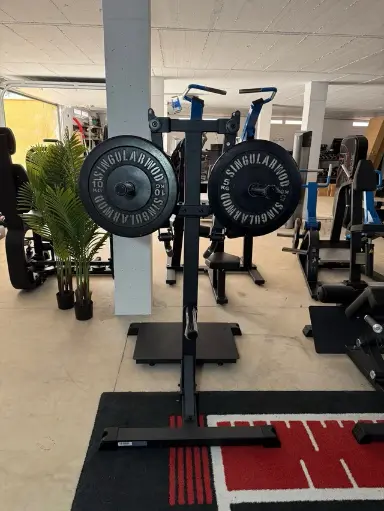 Elevacion Lateral de Hombro Impulse