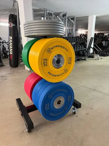 Soporte para Discos Olímpicos